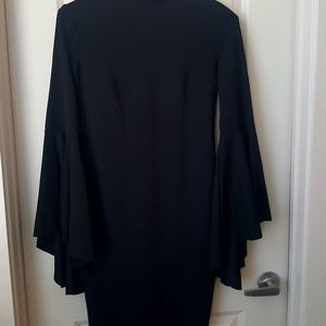 Bell Sleeve lady's Dress